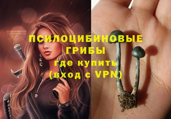 прущий лед Алексин